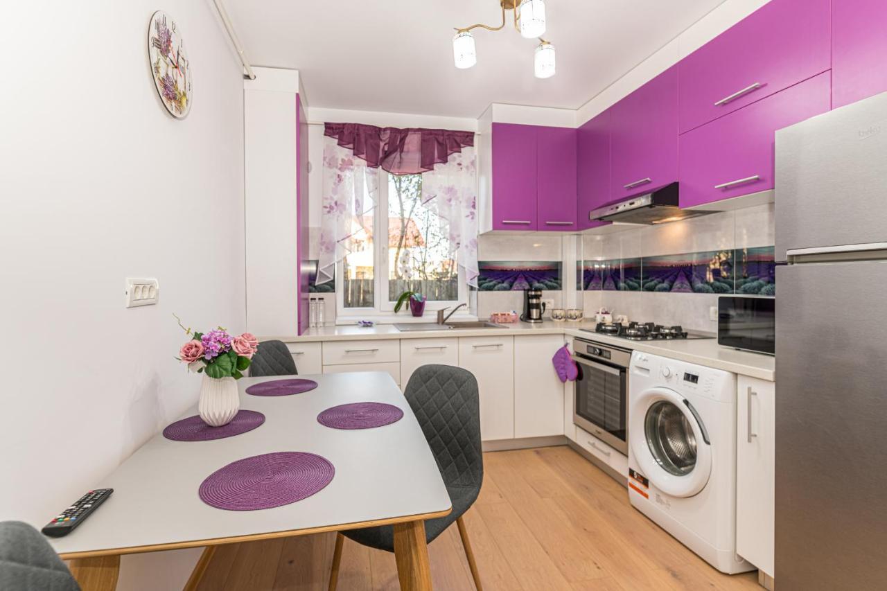 Apartamente Lavender Braşov Exteriör bild